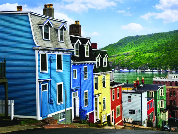 St. John's coloured houses