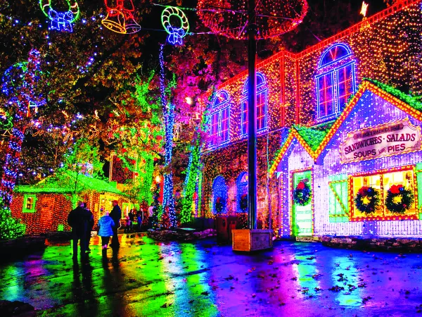 SDC Branson