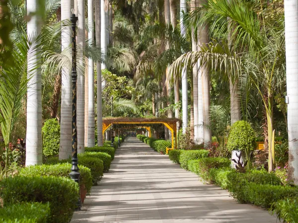 Aswan Gardens