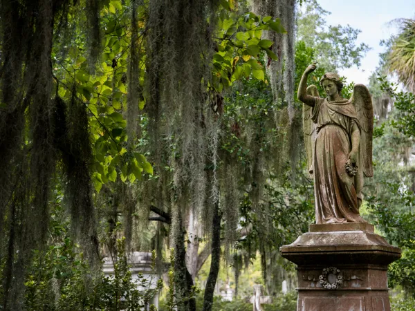 Southern Charm