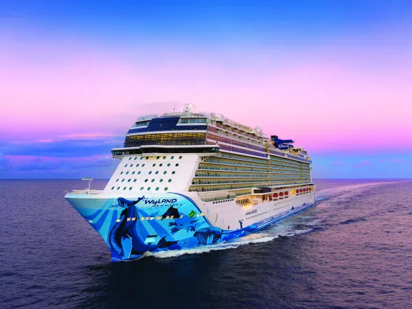 NCL Bliss