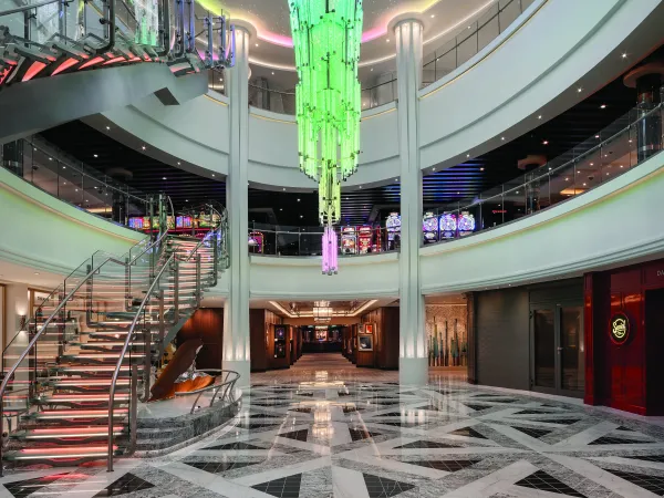 NCL Bliss