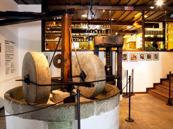 Olive Oil Museum