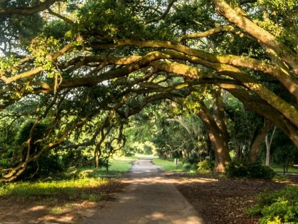 Southern Charm