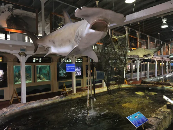 Aquarium