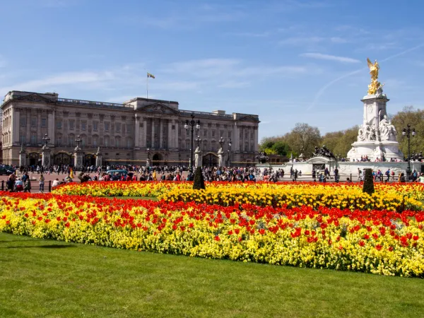 Buckingham Palace