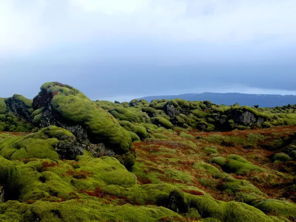 Eldhraun lava flow