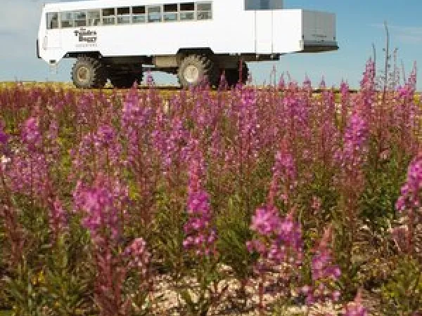 churchill rail tours