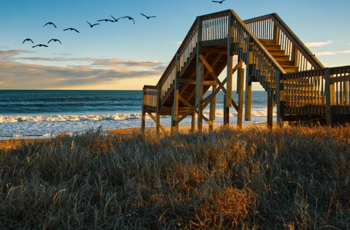 South Carolina Coastline