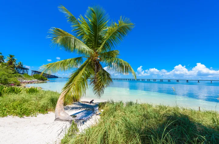 Florida Keys